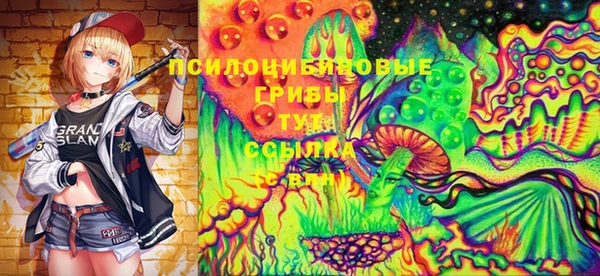гашик Богородск