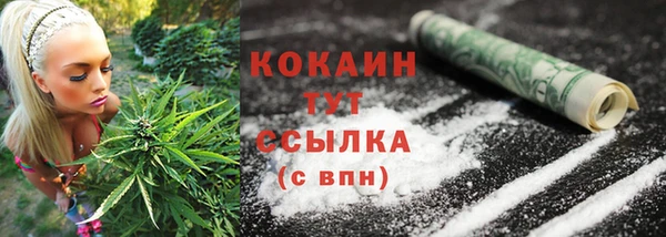 метадон Верея