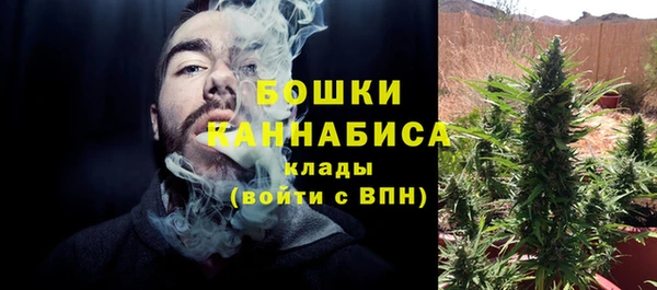 бошки Вяземский