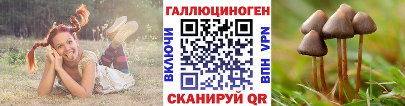 Псилоцибиновые грибы ЛСД  Зерноград 